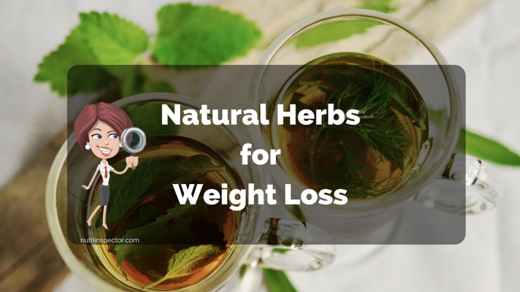 10 Best Herbs That Will Help You Lose Weight Naturally Nutri Inspector