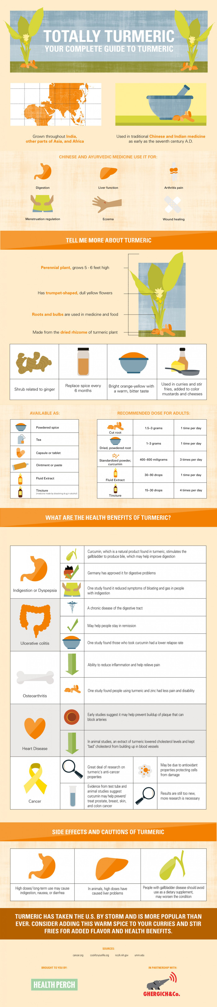 Complete Turmeric Guide