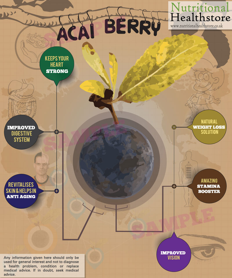Acai Berry Health Benefits