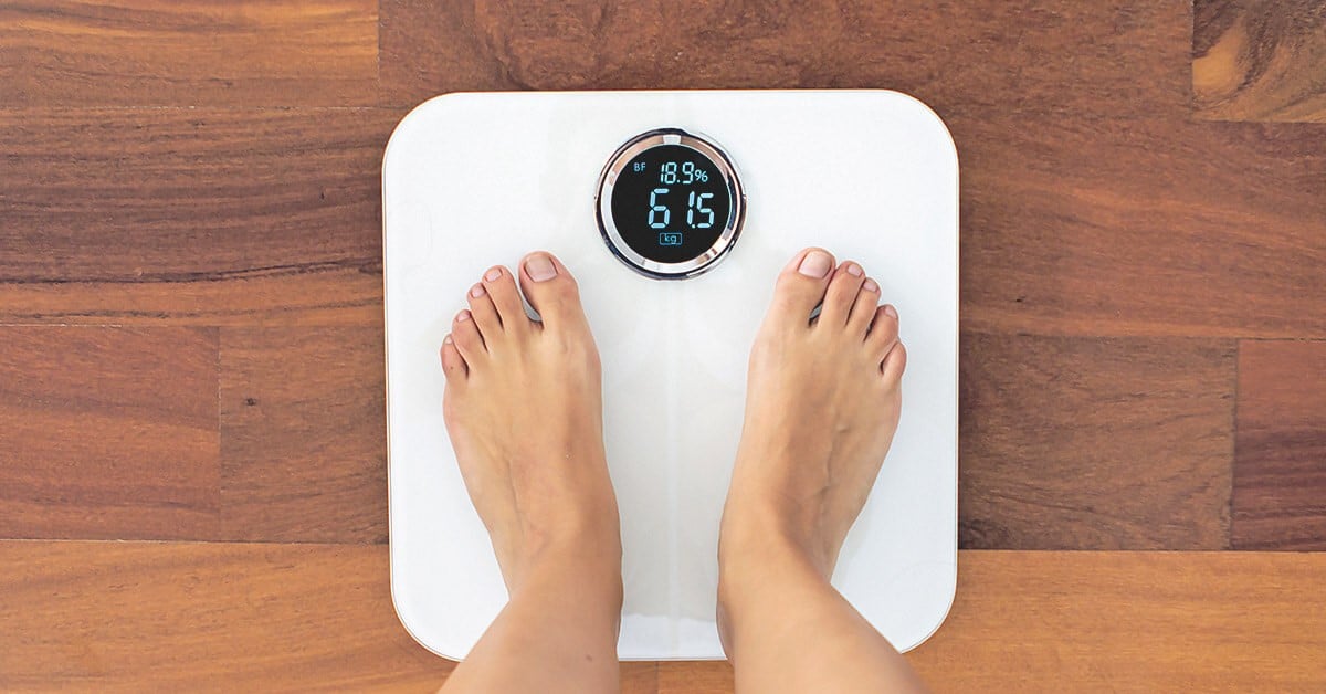 Body Fat Scale 2
