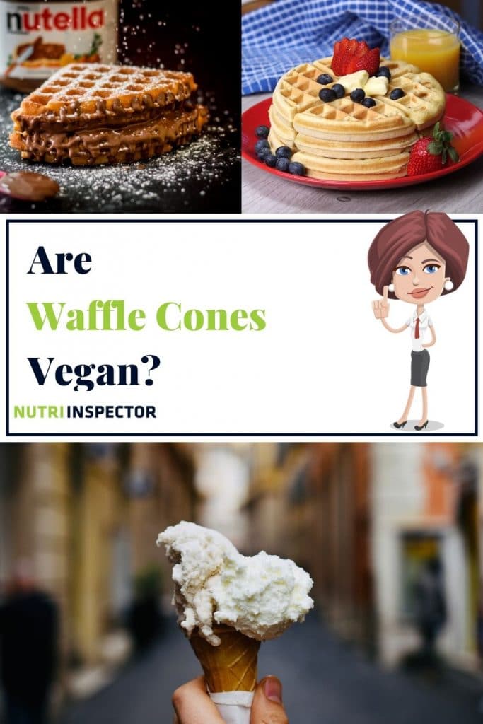 Are Waffle Cones Vegan Pin