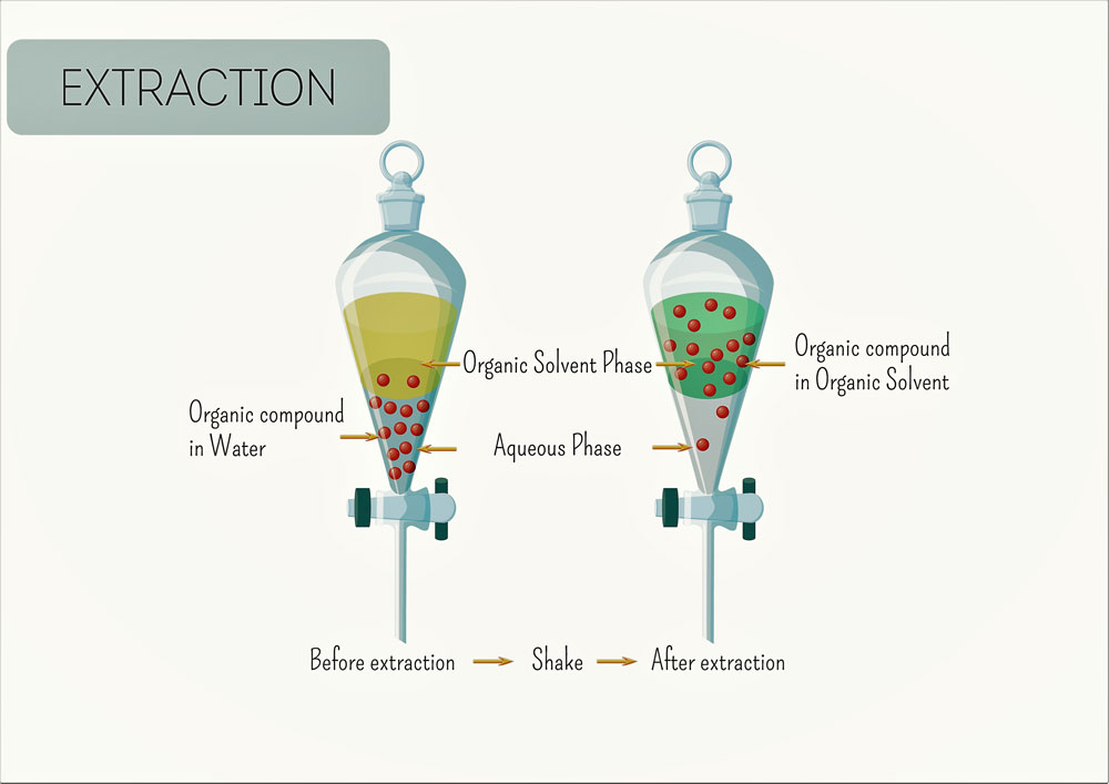 Homogeneous Solution