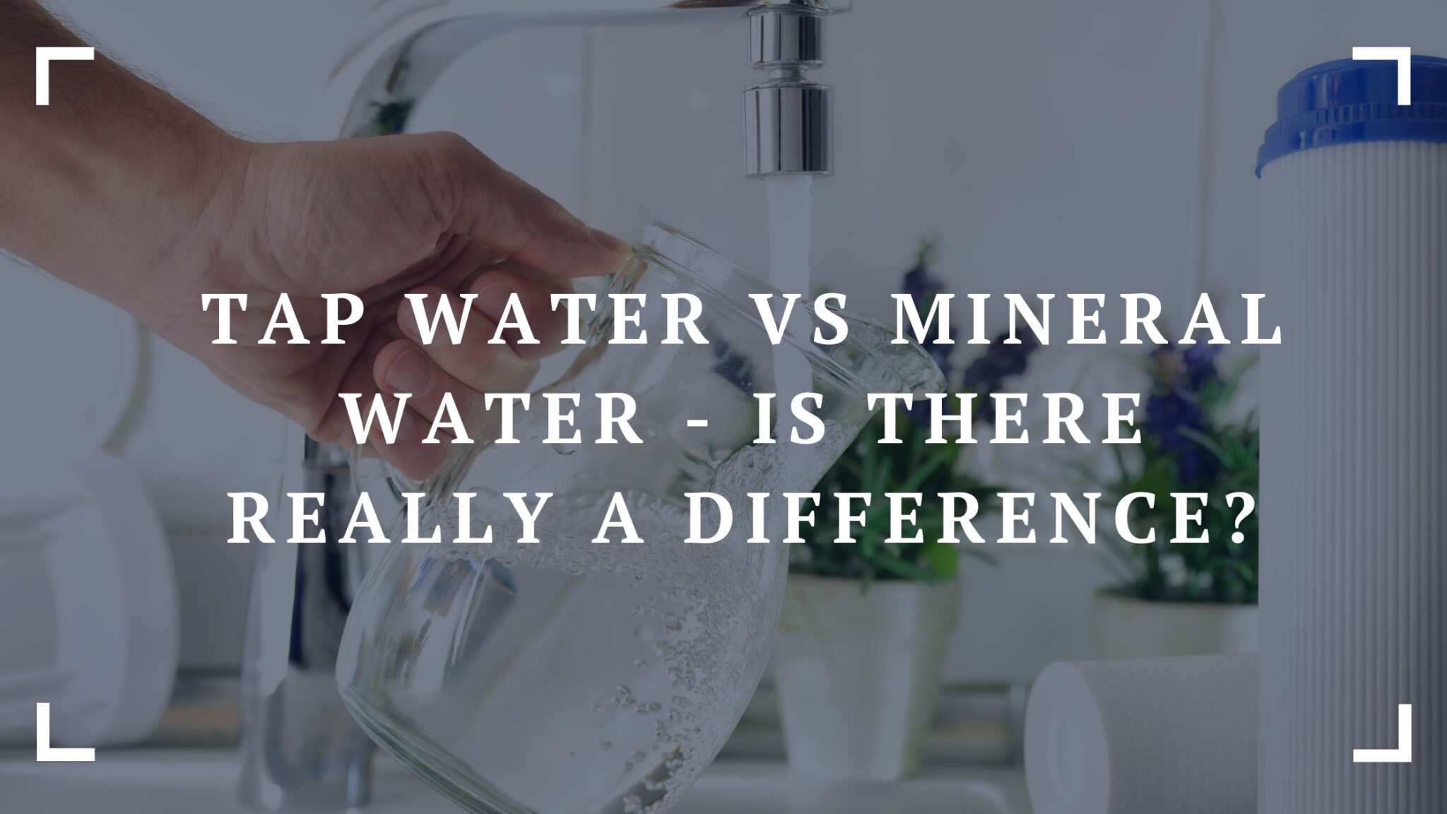 Tap Water Vs Mineral Water Is There Really a Difference? Nutri