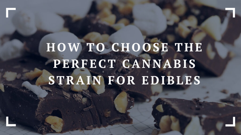 how to choose the perfect cannabis strain for edibles