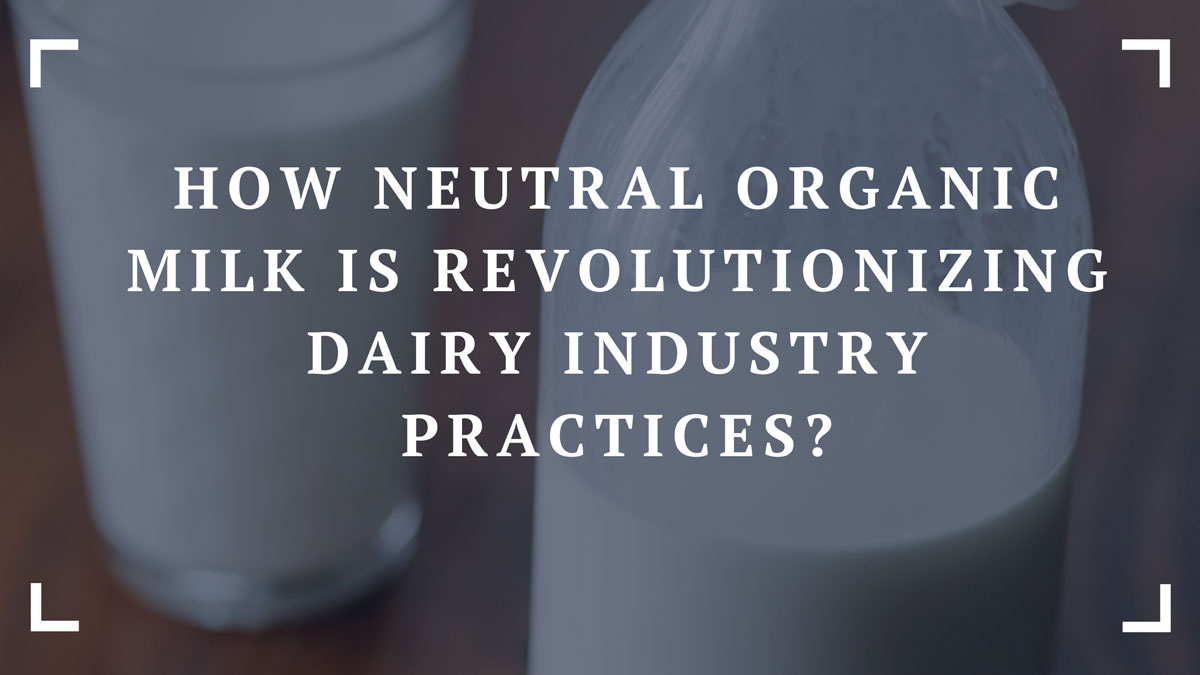 how neutral organic milk is revolutionizing dairy industry practices