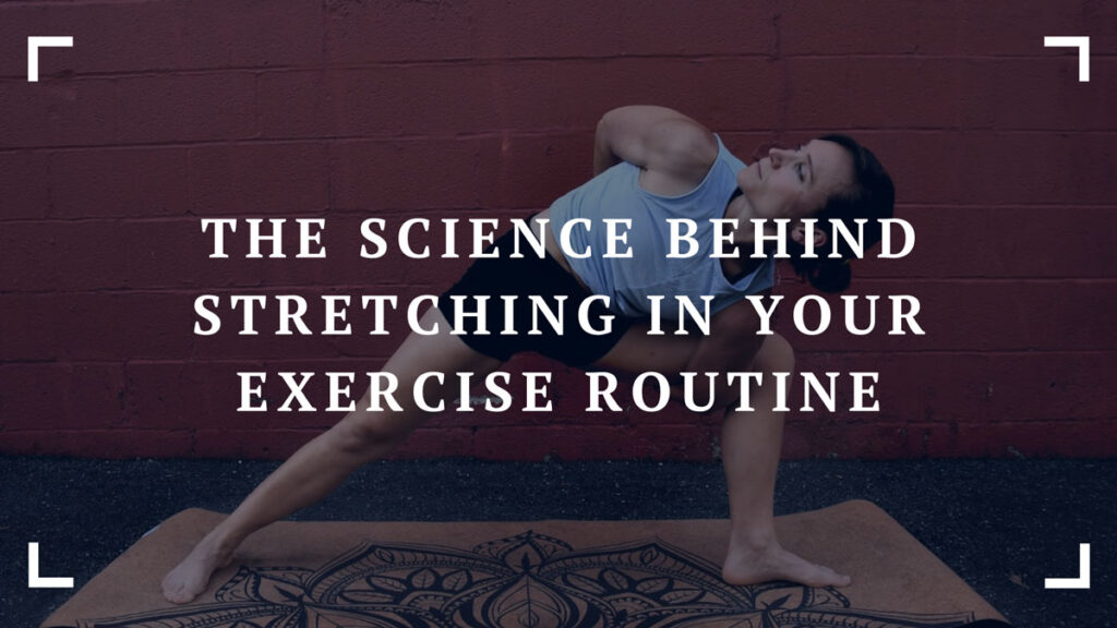 the science behind stretching in your exercise routine