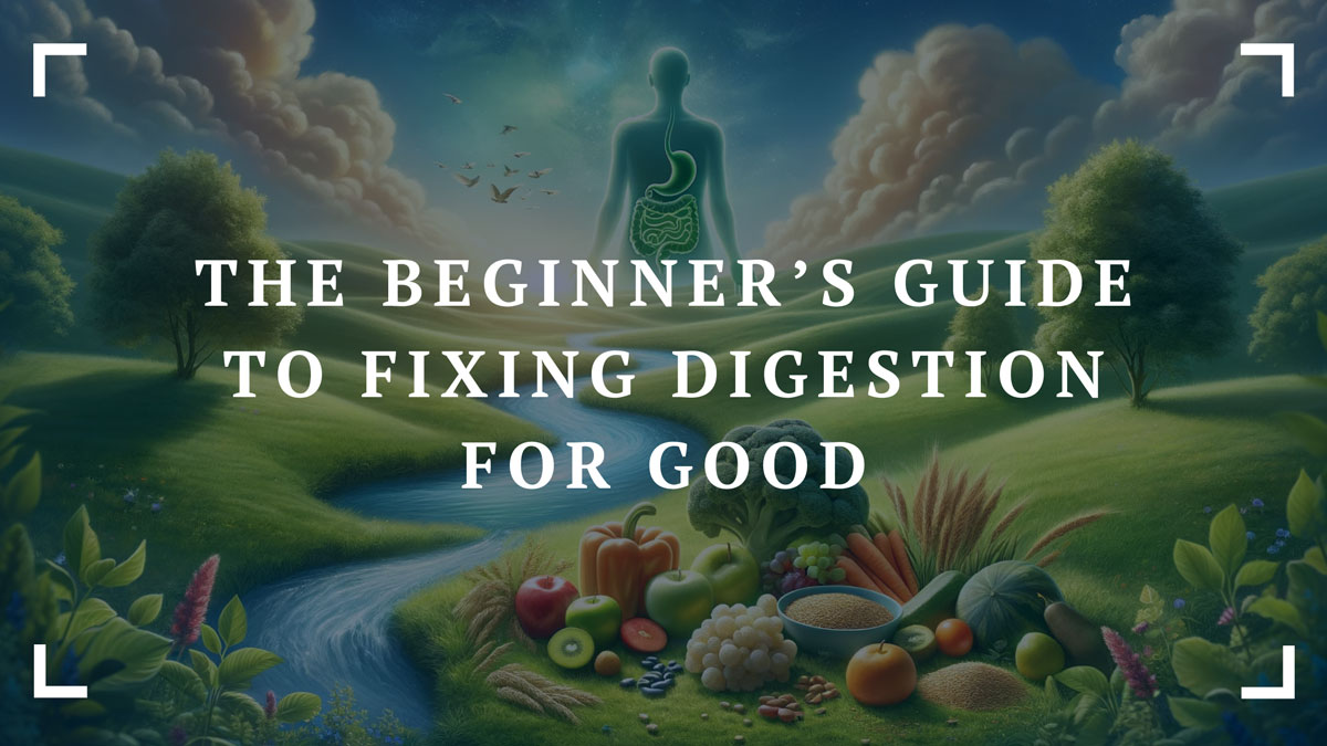 the beginners guide to fixing digestion for good