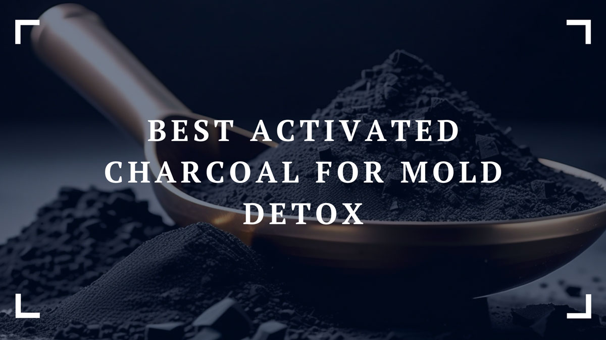 best activated charcoal for mold detox