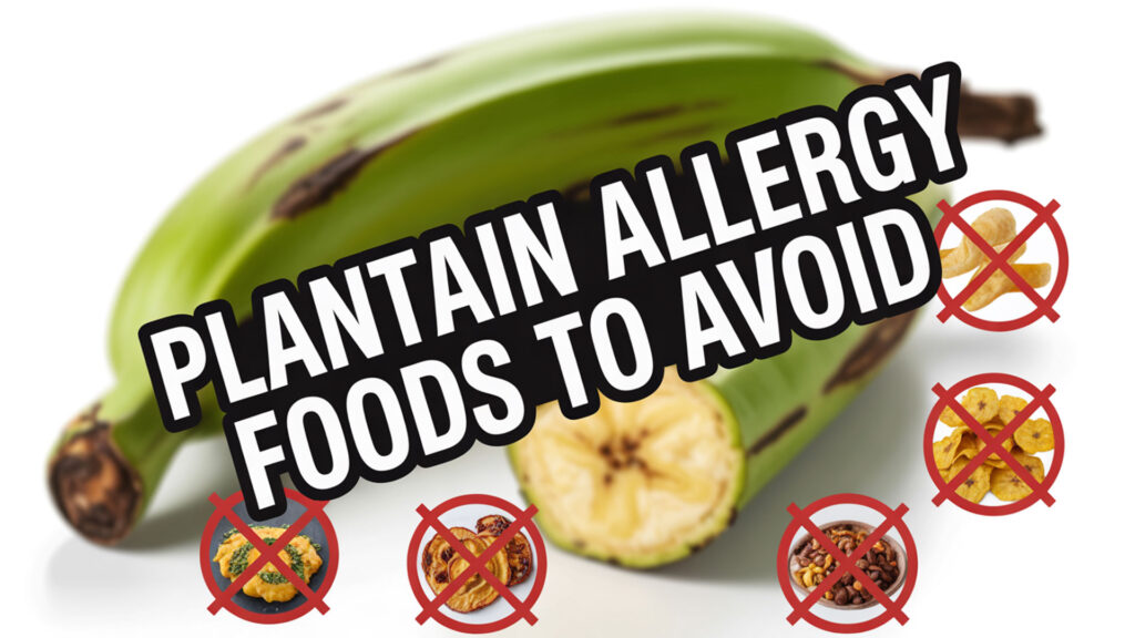 plantain allergy foods to avoid