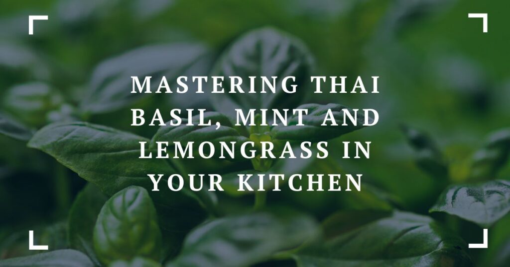 mastering thai basil, mint and lemongrass in your kitchen